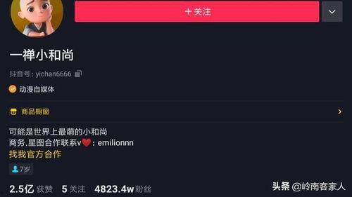 明星照片 抖音网红爆料网站大全,明星照片背后的爆料网站大盘点