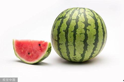 吃瓜网每日大赛 热门大瓜在线,热门大瓜在线狂欢，揭秘娱乐圈幕后风云